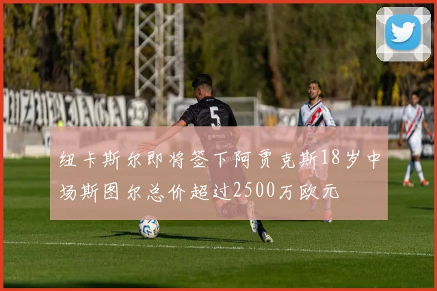 纽卡斯尔即将签下阿贾克斯18岁中场斯图尔总价超过2500万欧元